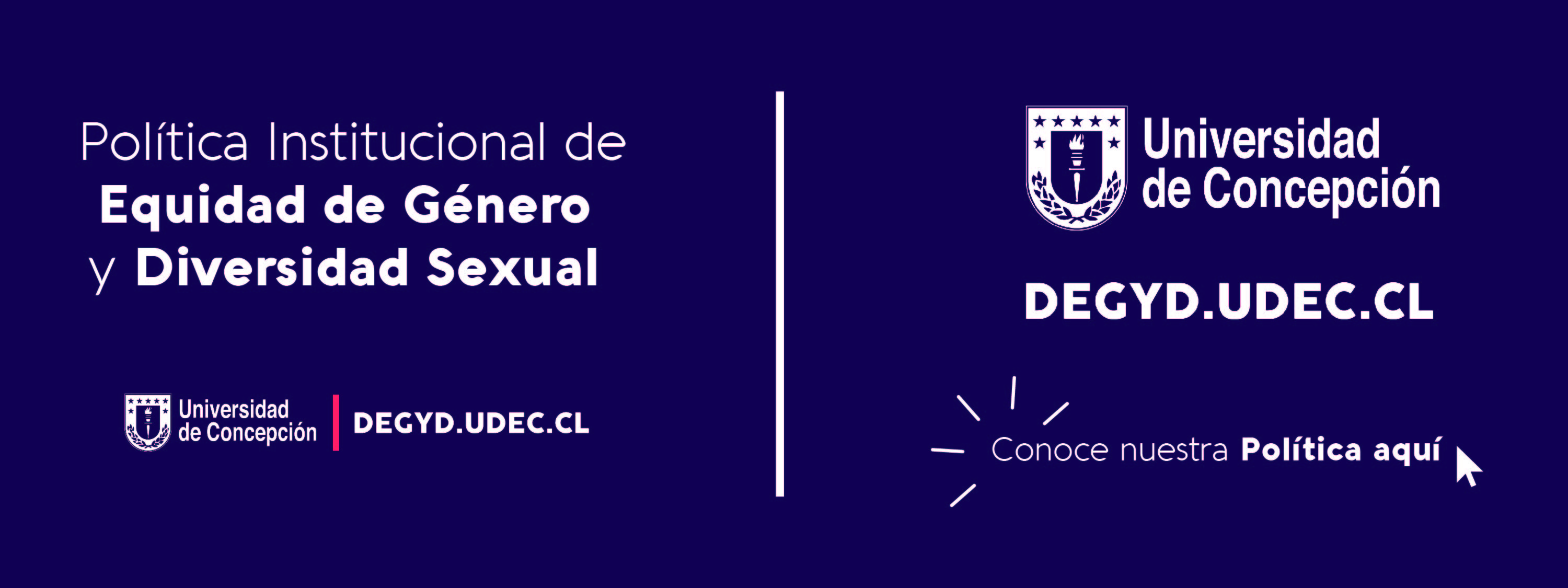 Política Institucional de Equidad de Género y Diversidad Sexual